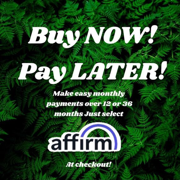 14k Yellow Gold 2Ct Moissanite Diamond Ring Retail $3,500!! - Picture 17 of 17